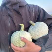 电商银栗小瓜，产地直发，价格优惠