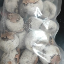 山西中条山挂霜老柿饼