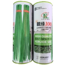 精品长豆角种籽靓绿100早中熟翠绿条四季不鼓籽少无筋产