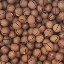 夏威夷果大量现货支持一件代发