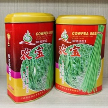 农宝豇豆种子翠绿长豆角种籽耐高温厚肉油绿色豇豆高产大田基