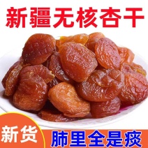 无核杏干酸甜孕妇金杏干杏肉果脯果干新疆特产