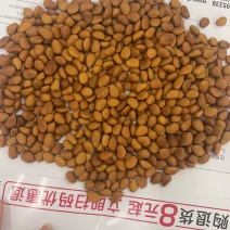 松子大量现货支持一件代发