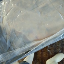 提干红海蜇皮