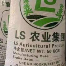 老挝LS木薯粉现货供应，欢迎咨询