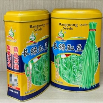 长绿豇豆长豆角种子早熟杂交翠绿豇豆种籽不鼓籽无鼠尾大棚露