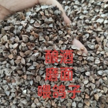 带壳荞麦散装原粮酿酒赛鸽信鸽观赏鸽仓鼠粮鹦鹉鸟食专用