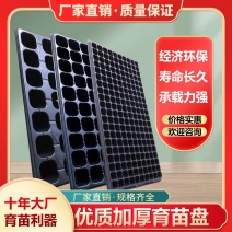育苗批发穴盘苗盘盘穴盘草莓玉米辣椒多肉叶插苗育苗盘加厚超