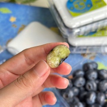 高原蓝莓脆甜多汁精品高品质