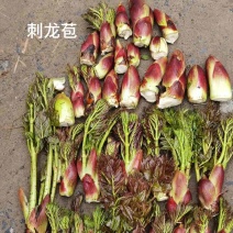野生刺龙苞，春季开采，需要的可以预定了