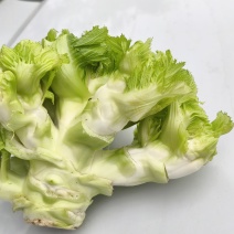 儿菜