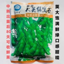 大荚绿宝石香酥一号毛豆种子中熟鲜食高产抗病春秋季播大豆蔬