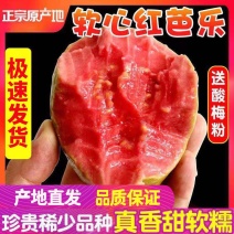 广西软心红心番石榴新鲜水果香软芭乐红软糯鸡屎果包