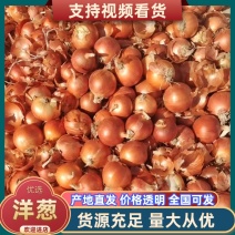 黄皮洋葱一手货源产地直供品质保证服务周到
