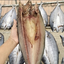 一卤鲜鲅鱼，生鲅鱼加热即食，新鲜美味品质保障