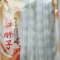 四季豆种子白胖子加长白色厚肉四季豆早熟结荚密