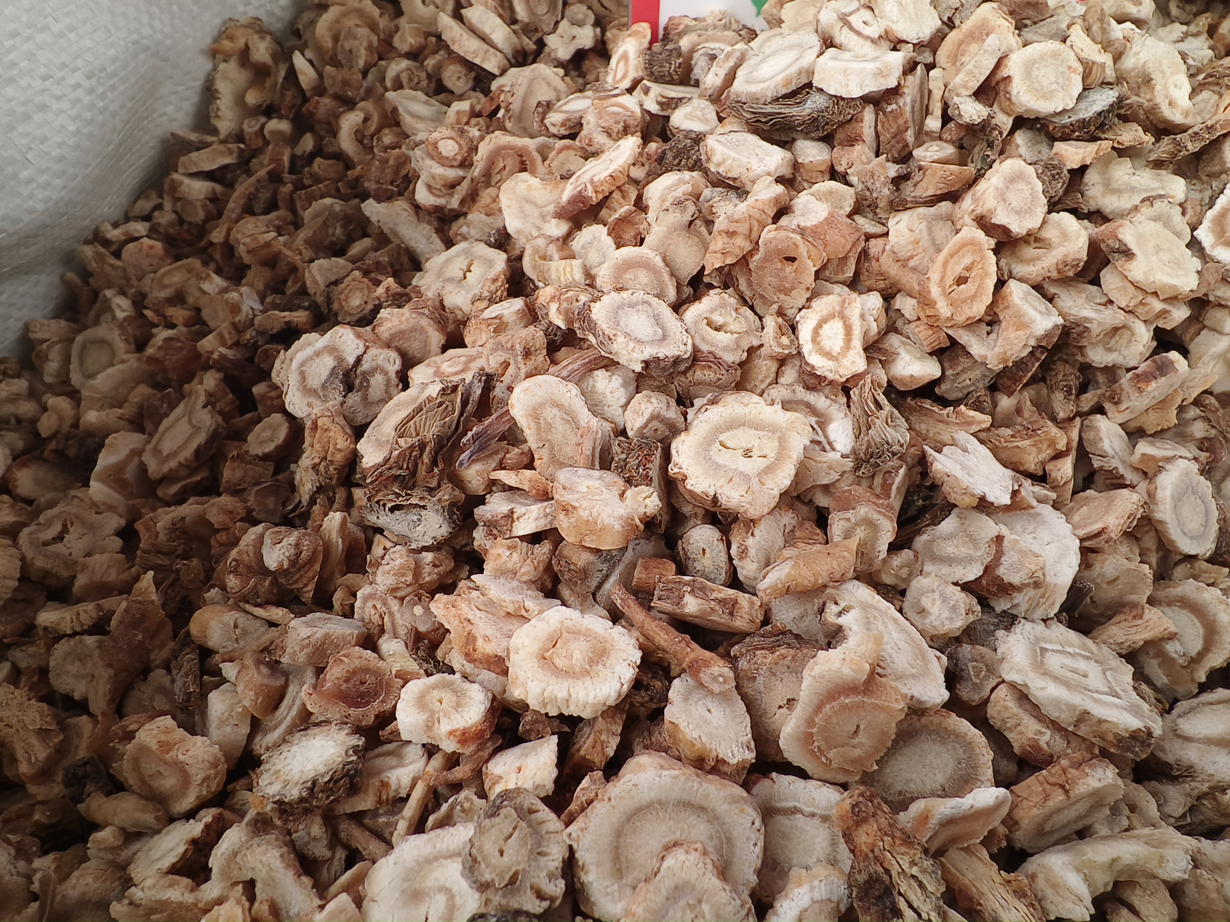 北沙参与其他中药材对比图