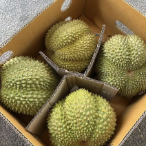 甲仑榴莲果型**好每一个都有五防以上甜度**高