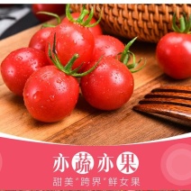 樱桃小番茄。千禧果酸甜浓郁可视频看货一手货源