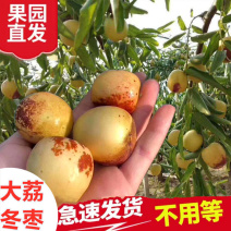 现摘新鲜冬枣新鲜水果脆甜冬枣正宗大荔冬枣应季青枣孕妇新枣