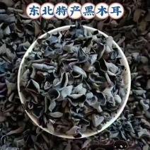 东北黑木耳干货批发零售电商批发走江湖品质保障对接全国