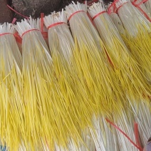 精品蒜黄大量上市产地直发一手货源保质保量