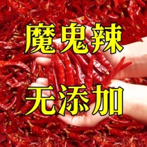 特辣干辣椒批发魔鬼辣椒干辣椒超辣香辣辣椒粉辣椒段干红辣椒