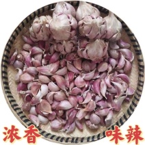 农家浓蒜香种红根香蒜苗种子四季阳台盆栽庭院种植红头蒜苗种