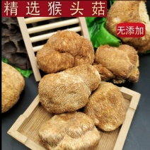 东北特产养生菌正宗干货猴头菇新鲜非精品非野生包邮