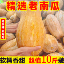 【精品好瓜】云南老南瓜新鲜农家自种宝宝南瓜板栗味包邮蔬菜