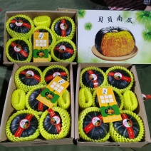 【精选】精品贝贝南瓜量大从优提供一条龙以质论价