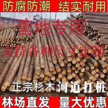 定制杉木桩户外河道工程驳岸桩营地民宿木园林绿化树木支撑杆