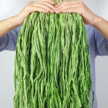 贡菜贡菜干无叶新鲜苔干苔菜下饭菜特产干货