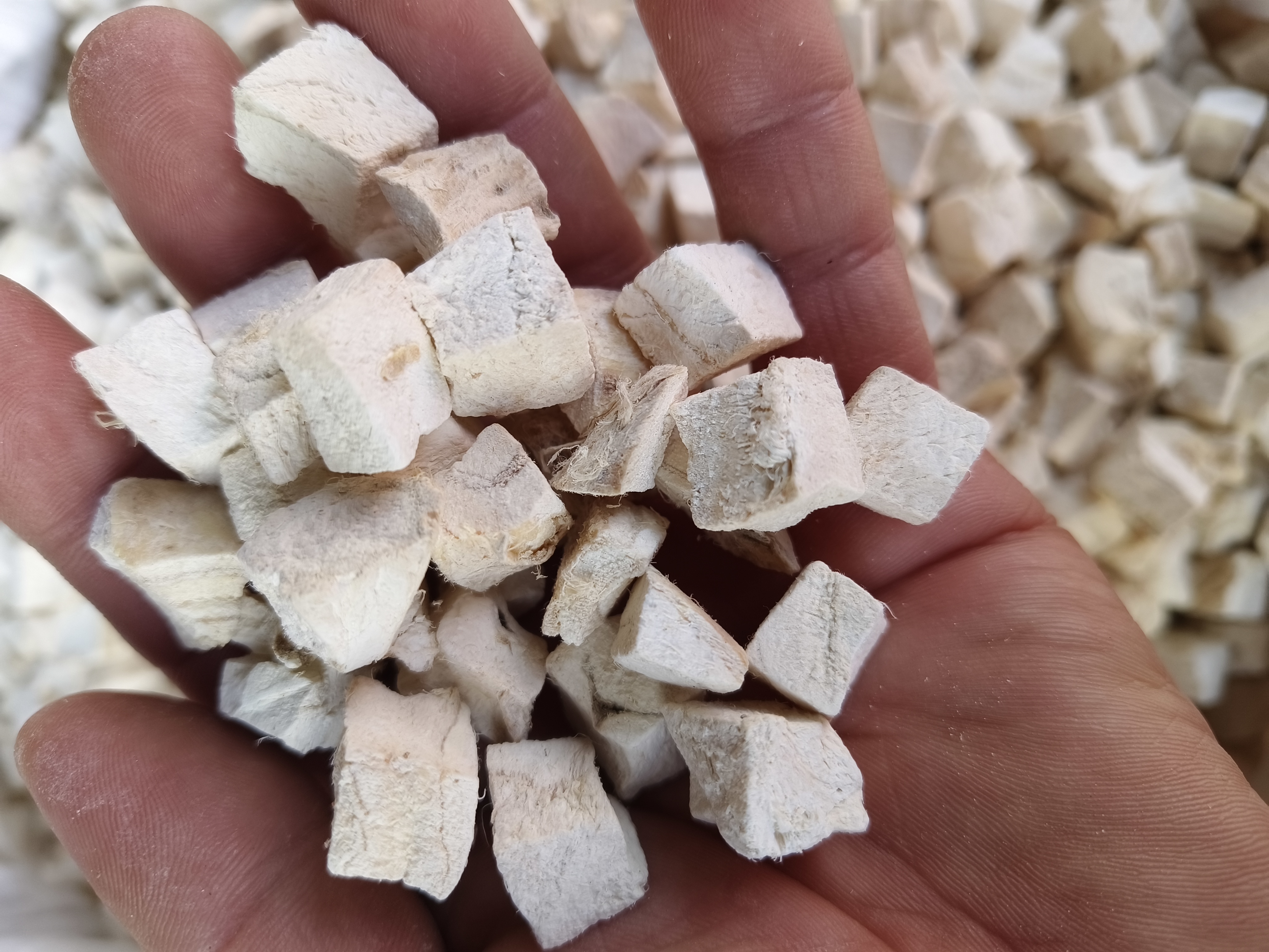 中医师在诊室为患者把脉并开具葛根汤处方