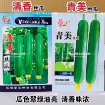 帮达青美丝瓜种子清香丝瓜种子翠绿油亮香丝瓜种籽杂交高产