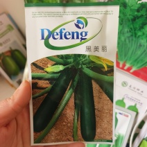 西葫芦种子墨绿黑色黑皮黑西葫芦种子老品种耐热西葫芦蔬菜大