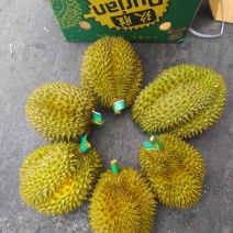 榴莲