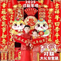 2025年对联春节对联大礼包烫金新年福字年货春联农村全套
