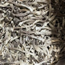 鹿茸菇、各种规格齐全、量大优惠、可**发票、一件代发。