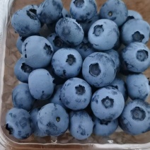 蓝莓