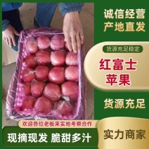 万荣膜袋红富士，日照长，温差大，口感脆甜。