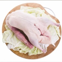 白条鸭冷冻鸭，什么规格都有，欢迎各位老板咨询