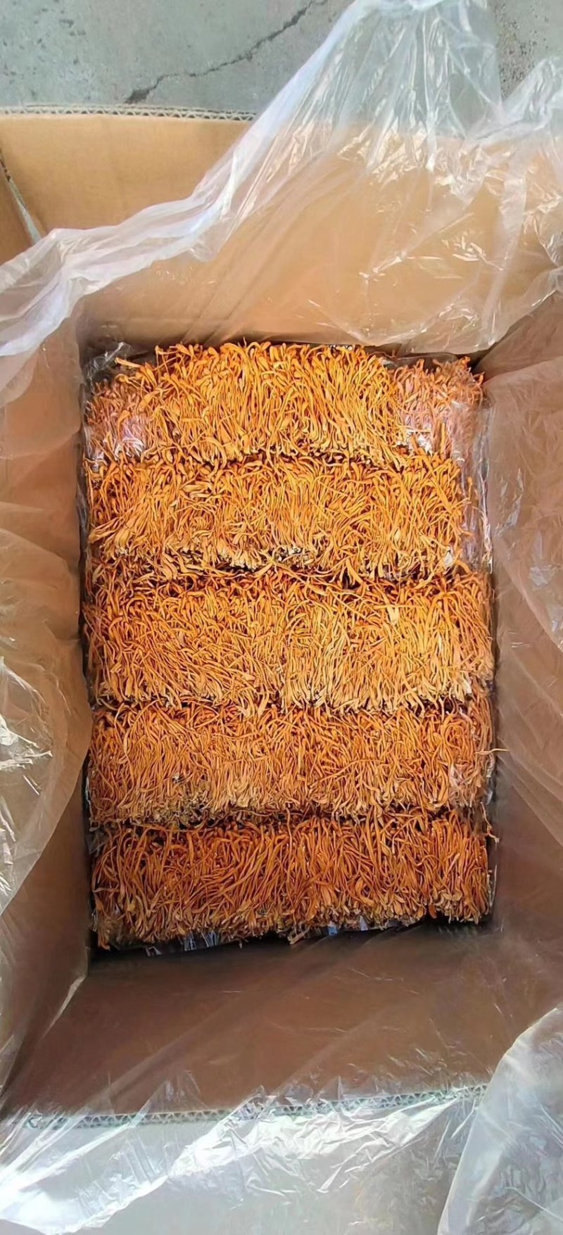 精品虫草花,批发,零售,电商代发货,小包装礼盒!