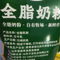 淄博牛奶粉