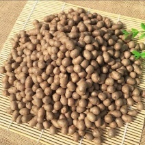 山药豆1公分到1.3公分对接各大电商平台价格公道质
