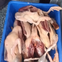 正宗土鸭