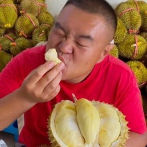 金枕榴莲一手批发价格，A果保5房，坏果包赔，货到付款