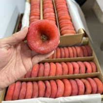 柿子饼批发价格一手货源大量现货产地直发品质保证价格漂亮有售后
