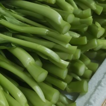 菜心