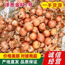 黄皮洋葱金科7号产地直发品质保证保质保量